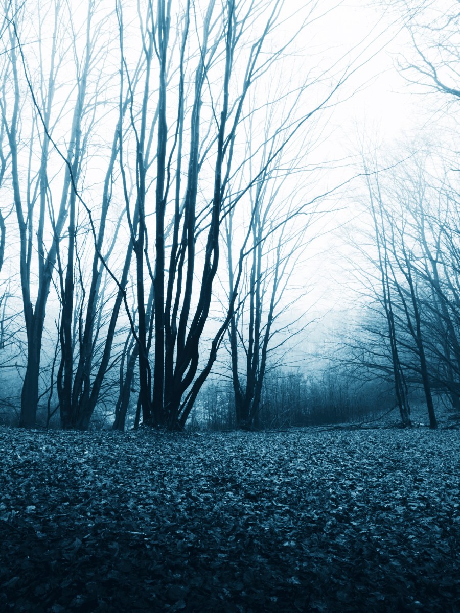 Scared of the Dark. And the&nbsp;Light.